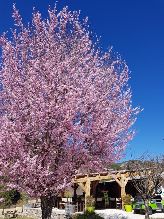Camping Calme Et Nature カステラーヌ エクステリア 写真